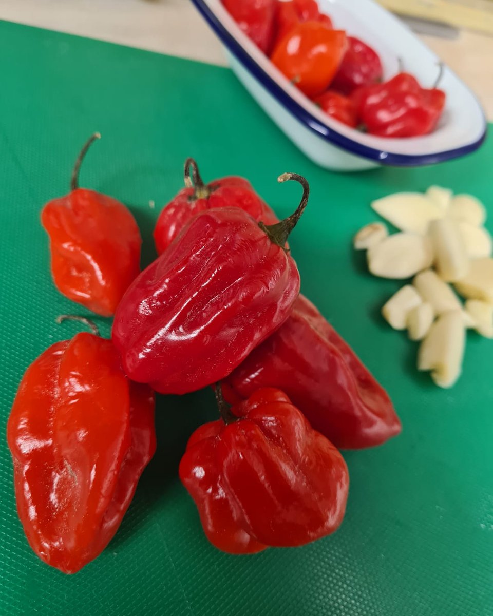 Rock Steady Rum Lounge tweet media