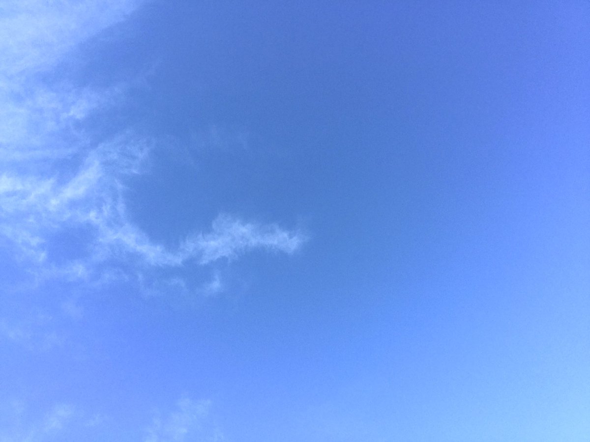 Cuando te echas en la proa del barco y miras hacia arriba, es lo que se ve. Estamos en Galicia. Noviembre 2020.