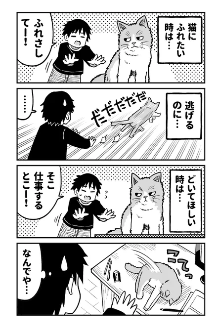 猫の謎 
