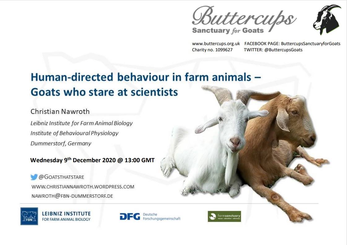 The goats who stare at scientists webinar!

Wednesday 9th December 1pm-1:45pm. 

Dr Nawroth will highlight some of the studies covering goat-human interactions and will further outline how applied research could benefit from these results!

ucph-ku.zoom.us/j/66609476468