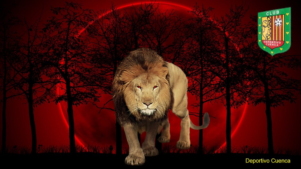 Hoy más que nunca estamos con ustedes; a dejarlo todo en la cancha. 

“Que cada partido se juegue como una final” #EnLasMalasMuchoMas 

#DaleRo
#SeremosEternos 

🦁🔴⚫️