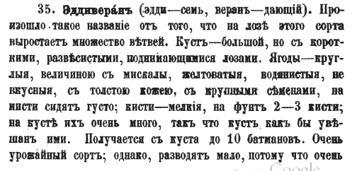 Khanim Gubaghi - a woman's belly (Aze lang.)Tulki-kuyrughi - a fox's tail (Aze lang)Kizil duyma - golden button (Tatar [Azer.] women such buttons on their clothes)Karim-Kandi - Karim's sugar Eddiveran - yeddi-seven, veran - giving (in AZE)