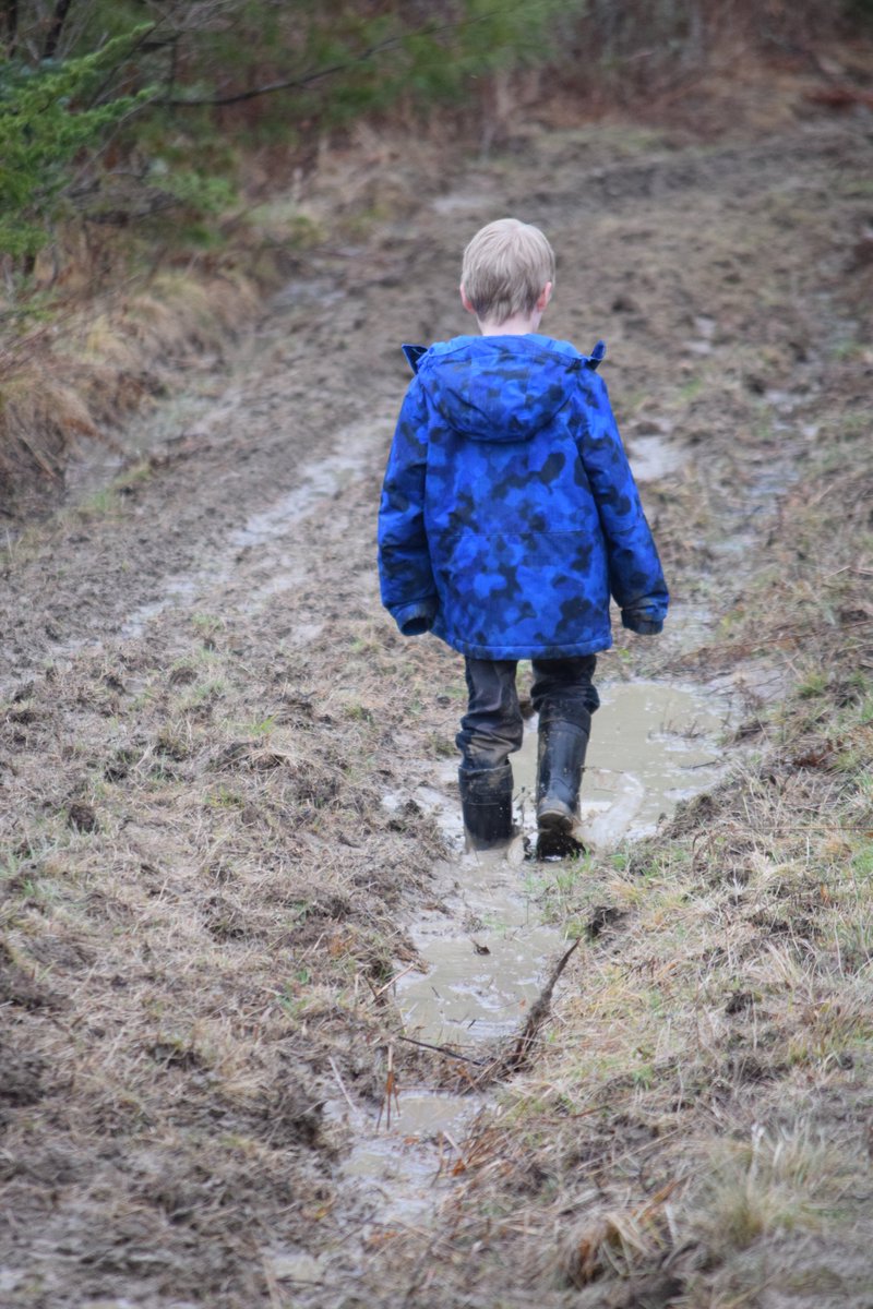 Today is a good day to wander in the woodsand run through the mudand get stuck in the mudand pick out a Christmas tree.I  that in Maine you can have a pandemic-safe holiday outdoor adventure 15 minutes from the "big city".