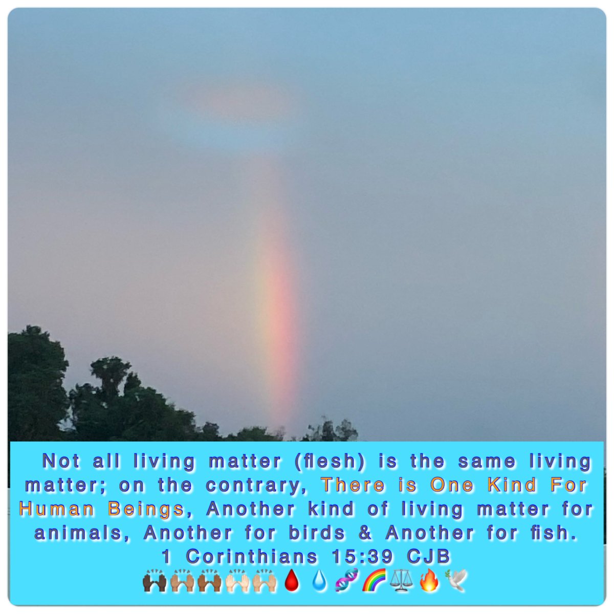 OpenOurEyesYHVH's tweet photo. @prayingmedic If you don't have peace-Draw Near🔥
#Meditate Grace+Truth
You WILL Manifest #InHisImage Likeness
#LiftUpYourEyes
#SonsAndDaughters #HigherWays
#AuthorityOfTheBeliever #Ambassadors #CitizensOfHeaven #DiplomaticImmunity
#WalkInLove #LiveByFaith #BeLoved #BeLed #PeaceBeWithYou 🌈🕊️ https://t.co/naZA1MCsL9