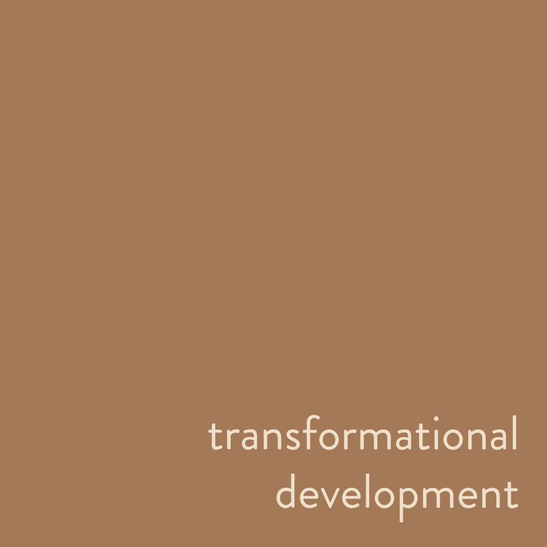 We seek to partner with at-risk Afghan communities to create a sustainable future and transformed lives through healthcare, education, and economic initiatives.