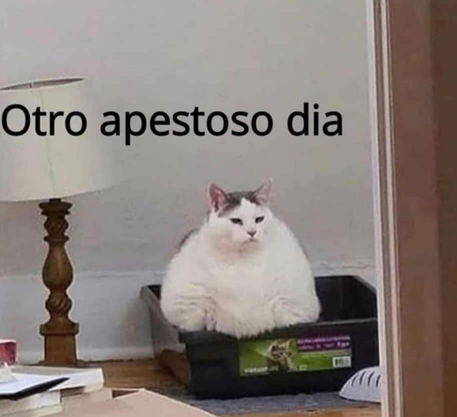 Cada día del 2020