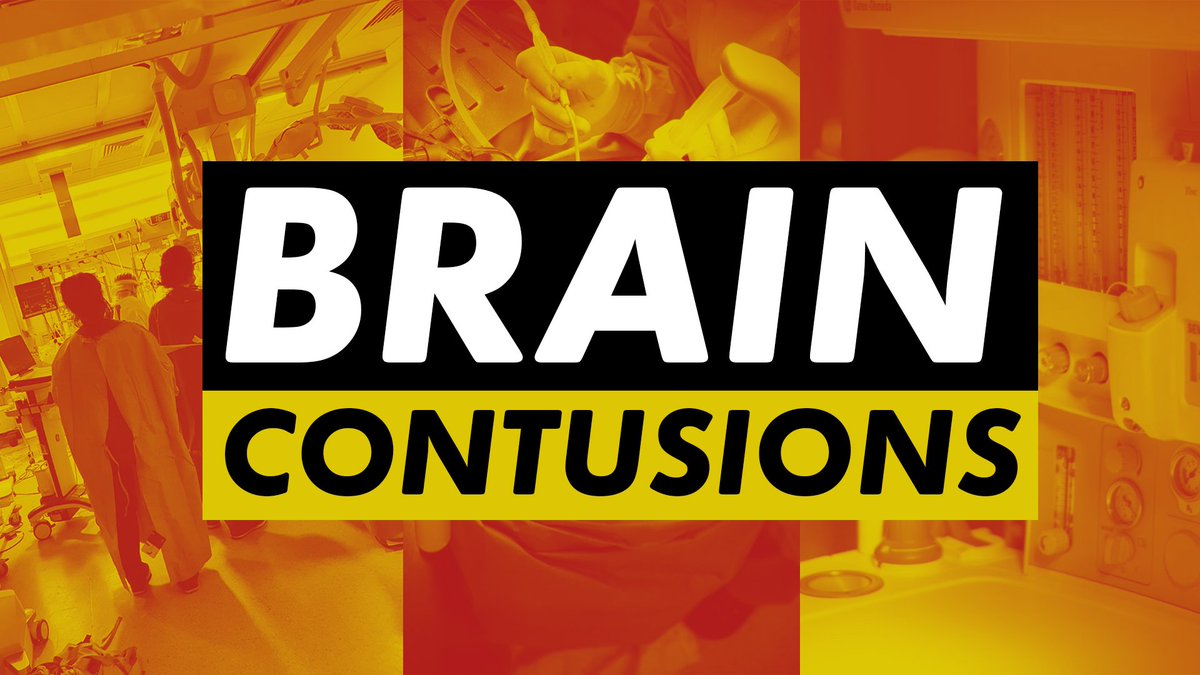 realbrainbook's tweet photo. What is a brain contusion?
How is it diagnosed and treated? What is the recovery like?
These are some of the questions we cover in this video:
https://t.co/xURvDhXNMI
In collaboration with @global_neuro
#braininjury #TBI https://t.co/iv8ZAiwypM
