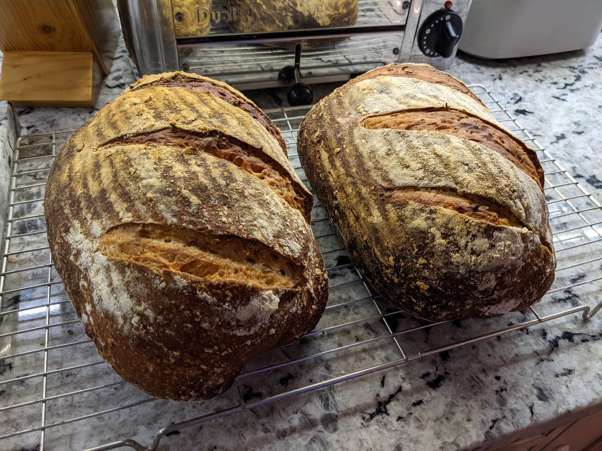 Family have designated my sourdough bread as a weapon of mass creation.