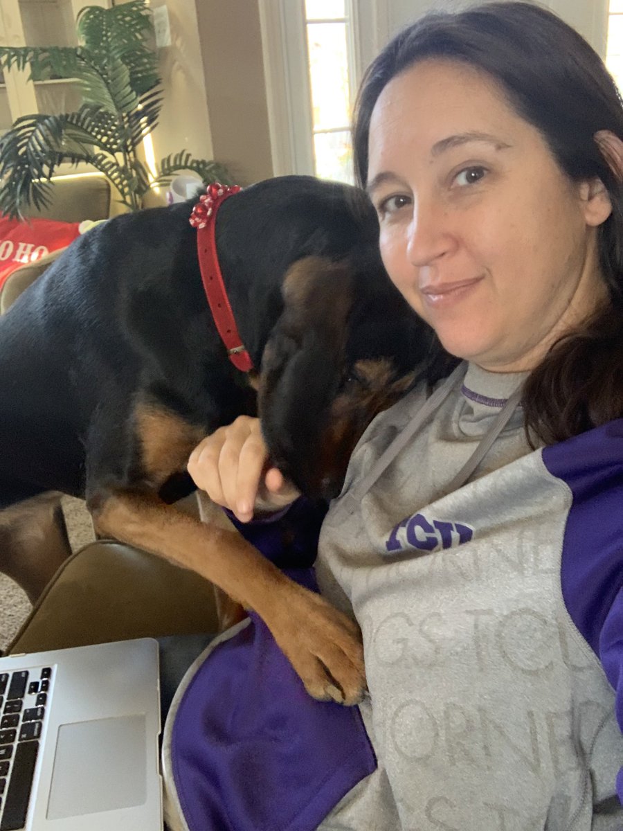 trishaleighKC's tweet photo. Yes this is totally conducive to working, why do you ask? #rubythehounddog https://t.co/7auim7qILN