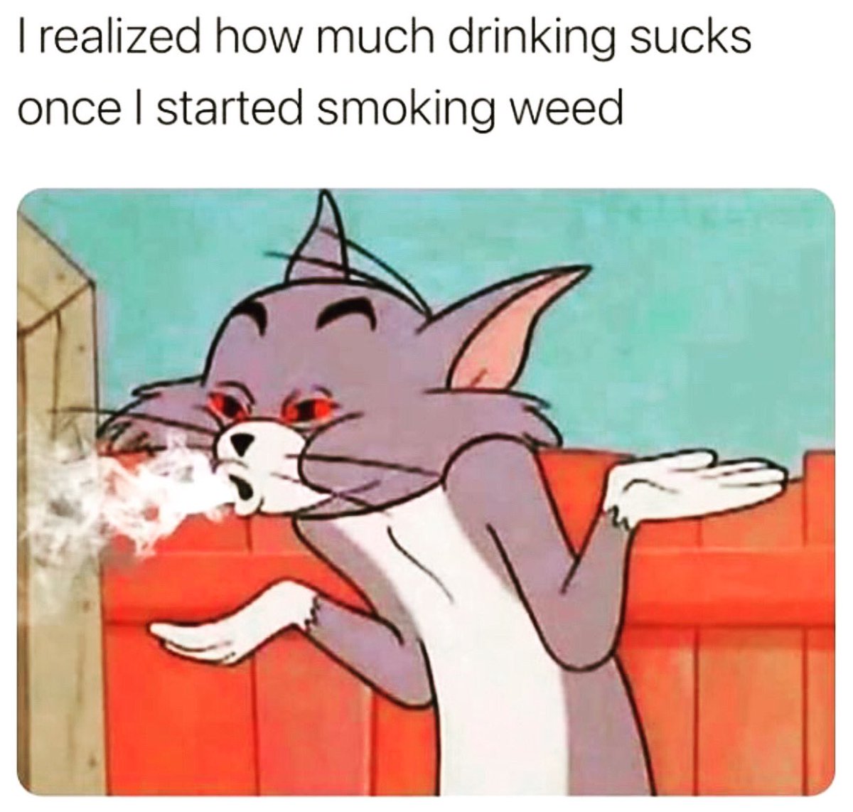 CocoaFever's tweet photo. Im 100% 420 Queen 👸🏾 God made it I smoke it !! This is why I live in California!!
💨 💚💨💚💨💚💨💚💨💚💨💚💨 #420 #weed #godmadeit #medicalmarijuana #helpsinjuries #naturaltree https://t.co/WzoZYZpCUg