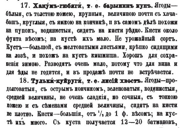 Khanim Gubaghi - a woman's belly (Aze lang.)Tulki-kuyrughi - a fox's tail (Aze lang)Kizil duyma - golden button (Tatar [Azer.] women such buttons on their clothes)Karim-Kandi - Karim's sugar Eddiveran - yeddi-seven, veran - giving (in AZE)
