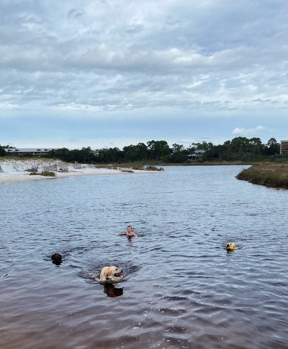 Brenthoadley1's tweet photo. Thanksgiving swim. #tocoldforme. https://t.co/y0i8b7nIQ1