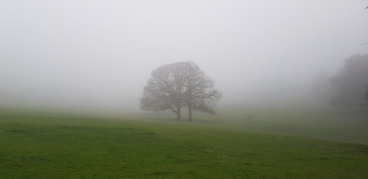 Theres a touch of fog around  @WarleyWoods1 today...