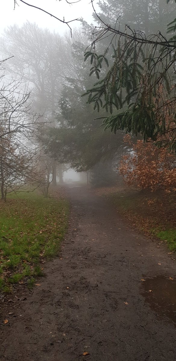 Theres a touch of fog around  @WarleyWoods1 today...