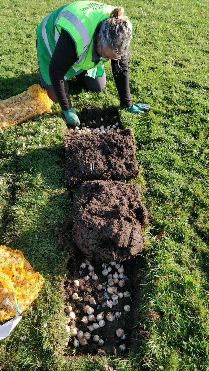 TakingRoot3's tweet photo. Despite a strange 2020 we greened, gleaned + grew. Now we're getting ready for 2021. There are some amazing organisations who are members of the #TakingRootNetwork who work hard to green up their corner of our town. Thanks for all you do! #community is everything! #bootle #sefton https://t.co/04forI2lp5