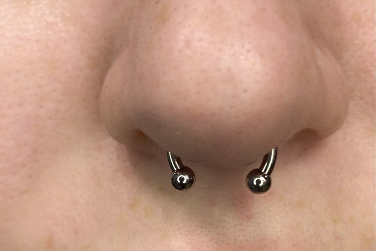 ECWJAX's tweet photo. Fresh septum piercing performed by Nana Shakti. Circular barbell has been opened for easier tuck in. #NanaPiercer #Anatometal #Septum #SeptumPiercing #Titanium #NosePiercing #BodyPiercing #FloridaPiercing #JacksonvillePiercing #Jewelry #NostrilPiercing #LegitBodyPiercing https://t.co/pODMbUHYf0