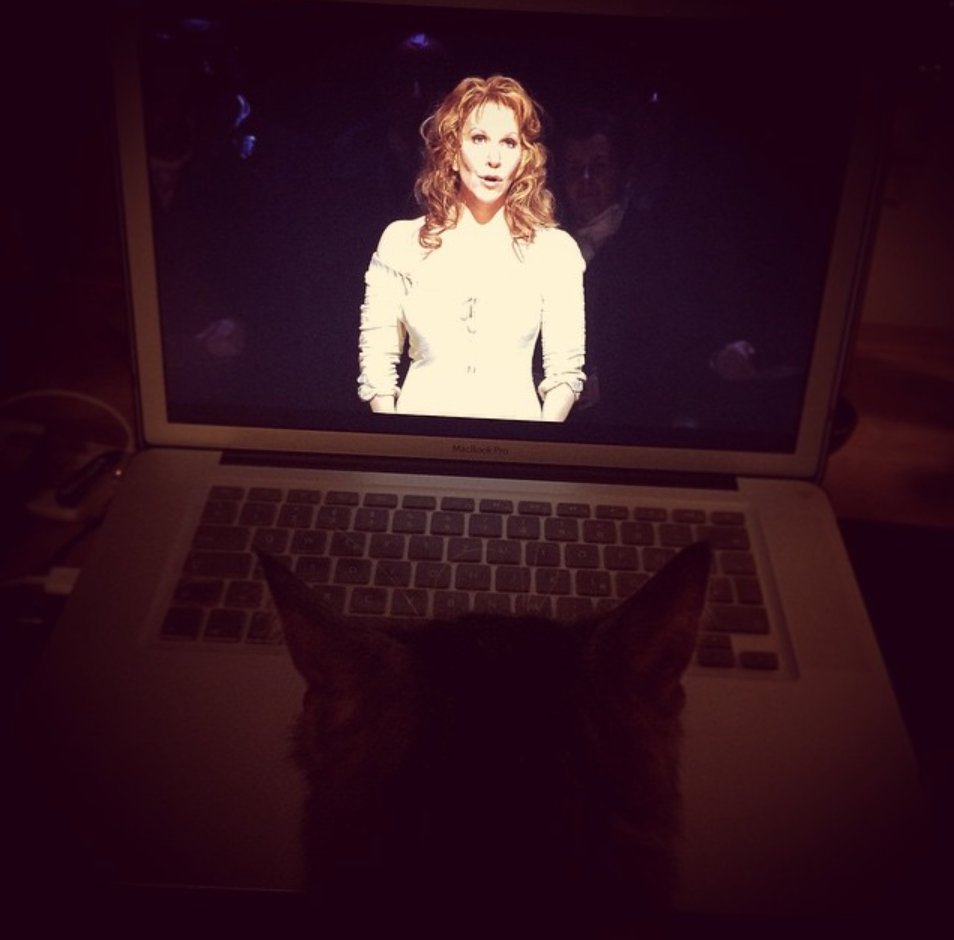 santafeopera's tweet photo. Guess we're not the only ones who love La Diva DiDonato! #operacats #catsofinstagram #caturday
#repost corxy "Getting in the mood for @JoyceDiDonato If kitties were allowed at the @metopera, Ramses surely would love to come with me!" https://t.co/APezvgwFIW