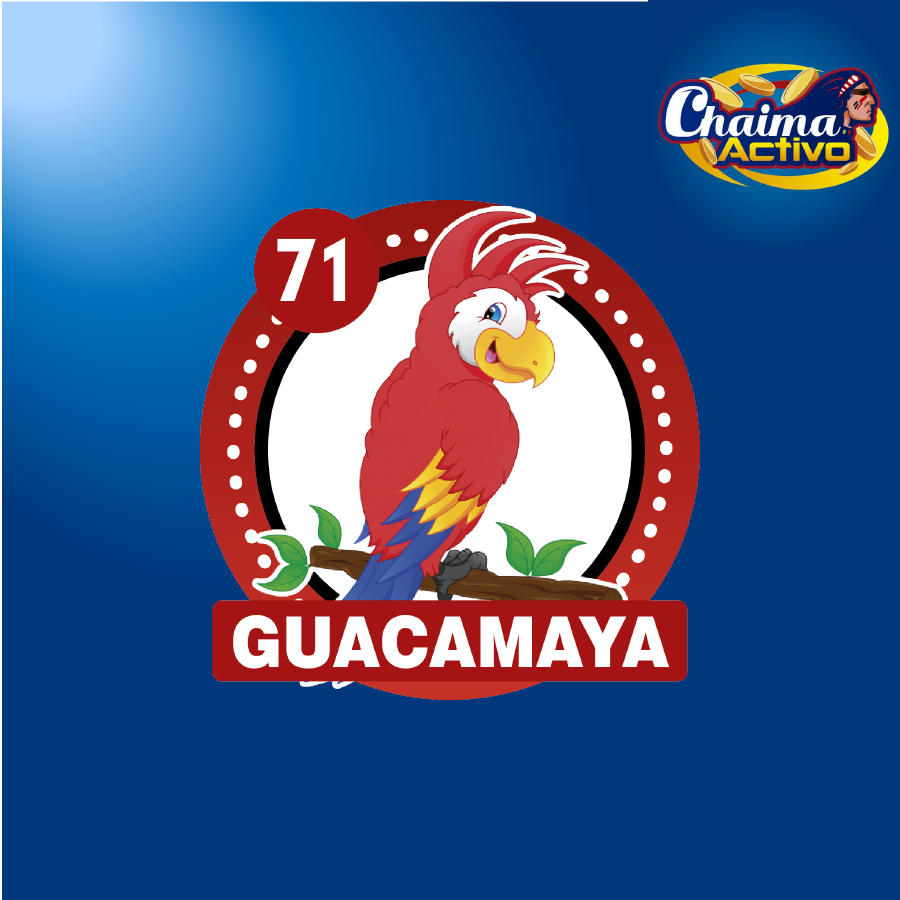 chaimaactivo's tweet image. Chaima Activo
28/11/2020
12:00 AM
71 - GUACAMAYA
#28Nov #PagamosmasChaima Activo