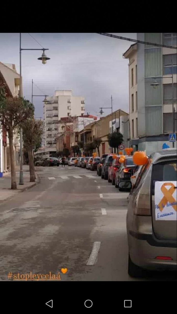 FEFCCriptana's tweet photo. La comunidad educativa del Colegio Ntra. Sra. Del Rosario de Campo de Criptana se suma a la manifestacion de los colegios concertados de Alcázar de San Juan en contra la Ley Celaá y por el derecho a la libre elección de centro
#Yosoydelaconcertada
#stopLeyCelaá
#FEFCCriptana https://t.co/bpt3rr211K
