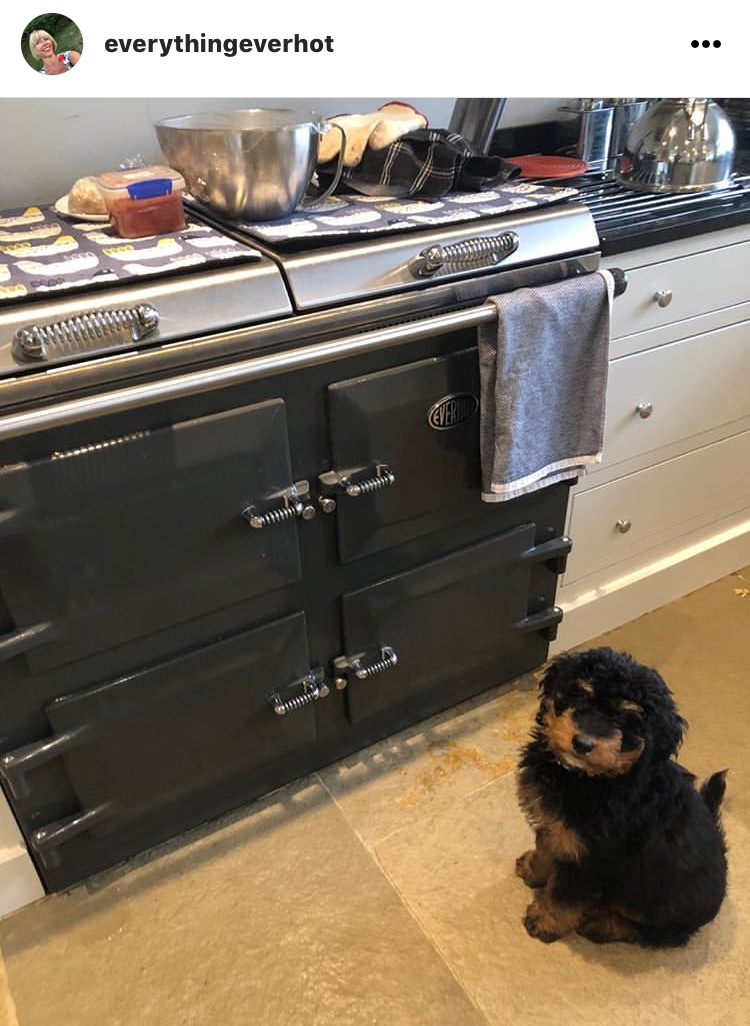everhotcookers's tweet photo. Looks like someone’s ready for tea time! Thanks for sharing @everythingeverhot – we love your Graphite Everhot 110.
#Everhot #heatstoragerangecooker #rangecooker #kitchen #kitchendesign #luxury #design #cookers #kitchenideas #statementkitchens #dogsofinstagram https://t.co/t88UfE5OF4