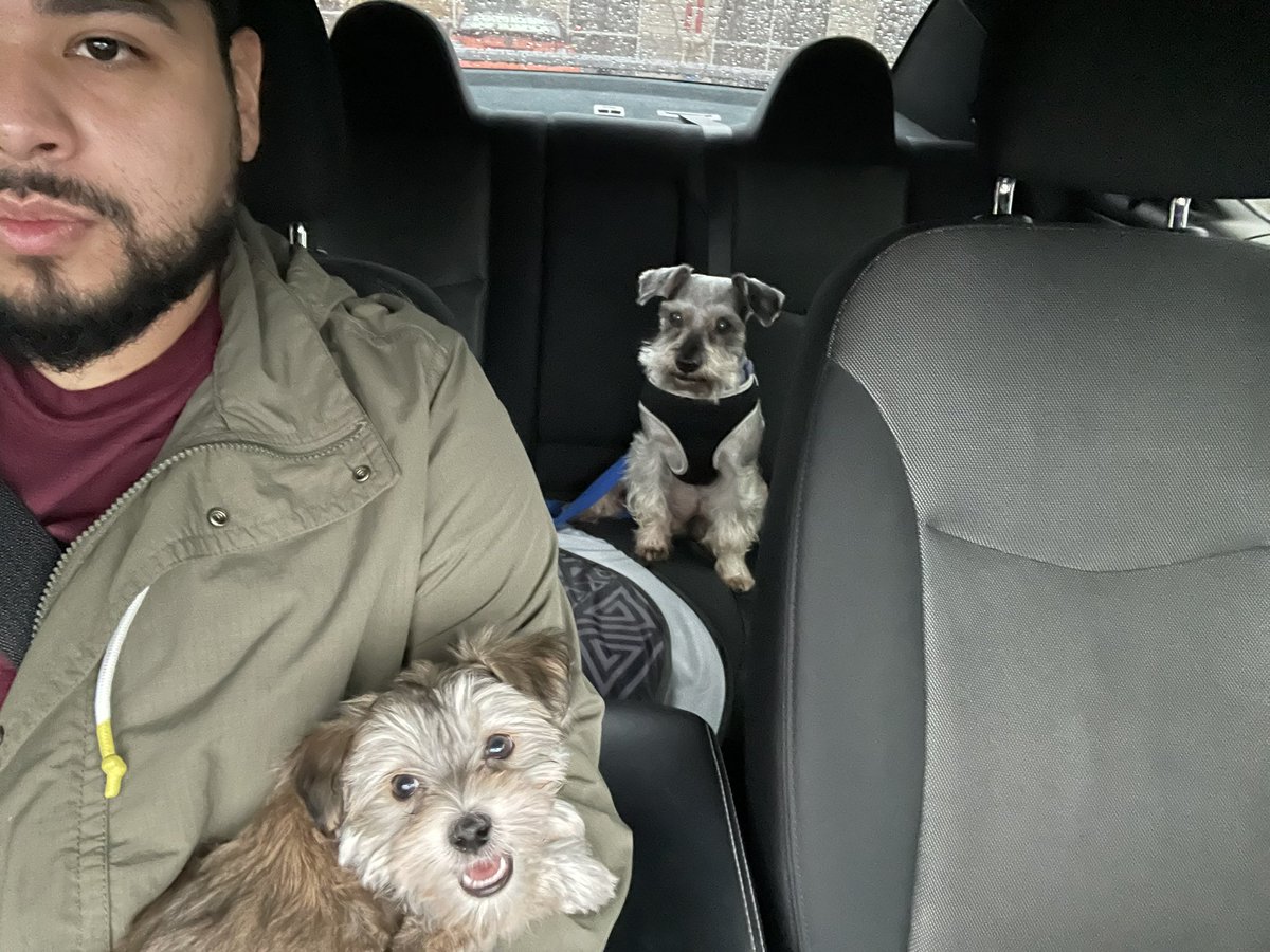Oh lord... Hero is not having any of this... 😂😂😂😂
-
-
-
#Gamer #gaymer #Nerd #Geek #Instagamer #SanAntonio #GymRat #Streamer #TwitchStreamer #YouTuber #Gaymer #InstaGaymer #InstaGay #Scruff #Beard #FitFam #FitFamSA #FGC #muscle #swolfie
#puppy #puppylove https://t.co/OnVA2eYFal