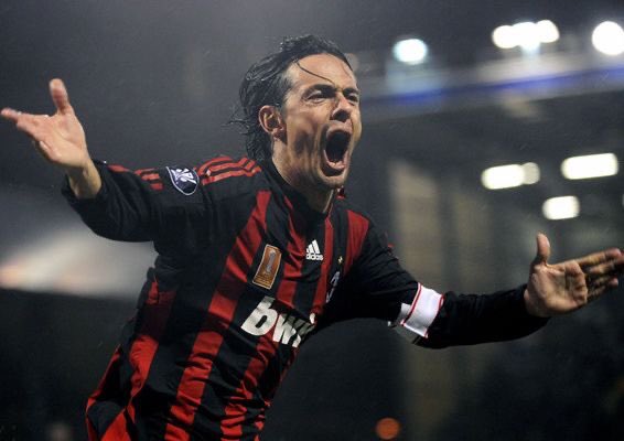 Mini thread :      « Fox in the box»Qu’est ce que le renard des surfaces ?Est-il en voie de disparition ?