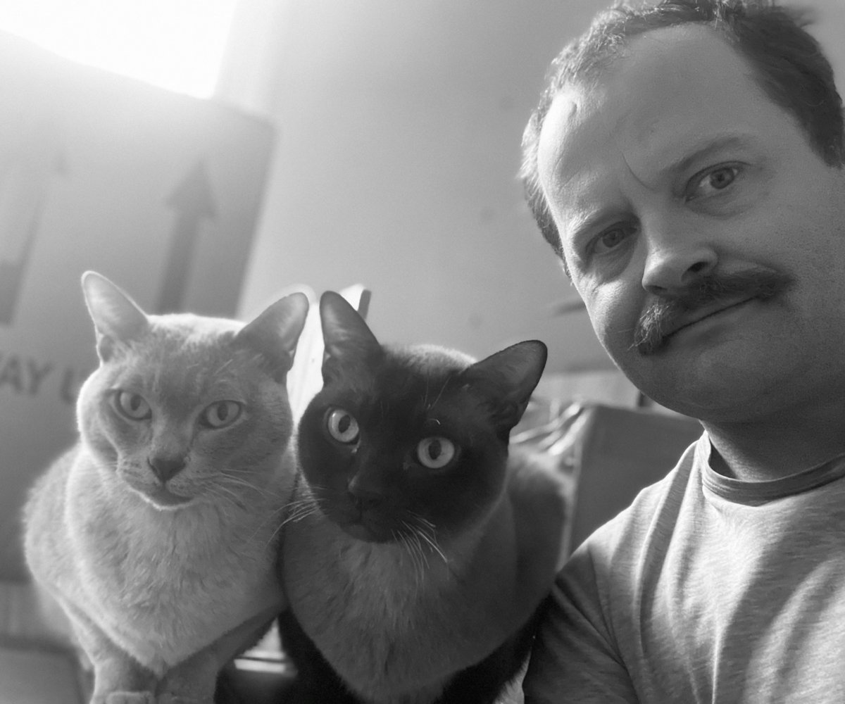 Who wore it best? Another @toates_19 inspired cat pic to drive the Whitechapel Whiskers over the £5000 mark. Donate here: movember.com/t/whitechapel-…
