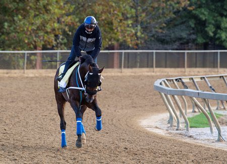 higvg's tweet photo. #Hipismo
#JesusTeam listo para la #ClaimingCrownJewel la semana que viene @JFDAngelo #TRBB #BlueBarn https://t.co/qvndZ04yKI