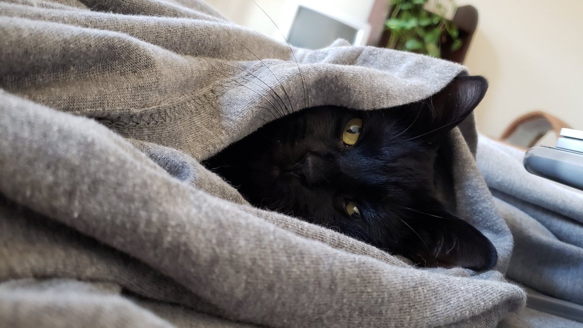 𝓰ₒₒ𝒹 ᵐᵒʳⁿᶦⁿᵍ