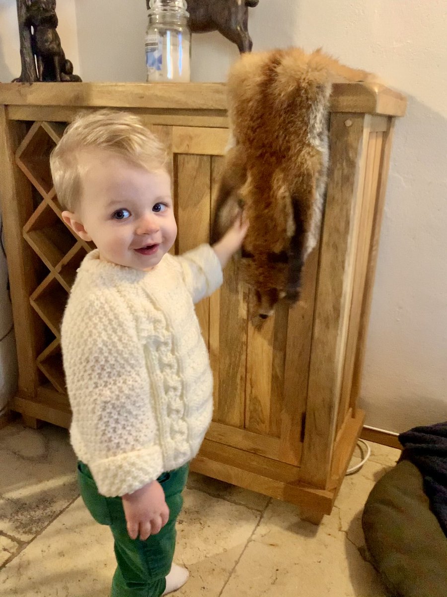 Feeling foxy. Literally.