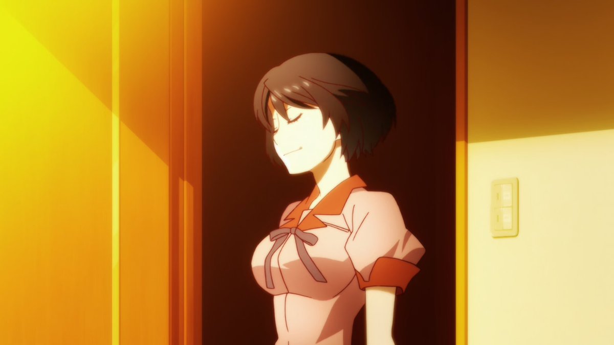 Monogatari is a story about coming to terms with yourself: your flaws, your regrets and your past. It's a tale about growing up and the struggles and conflicts that are created when you strive to become a better version of yourself.