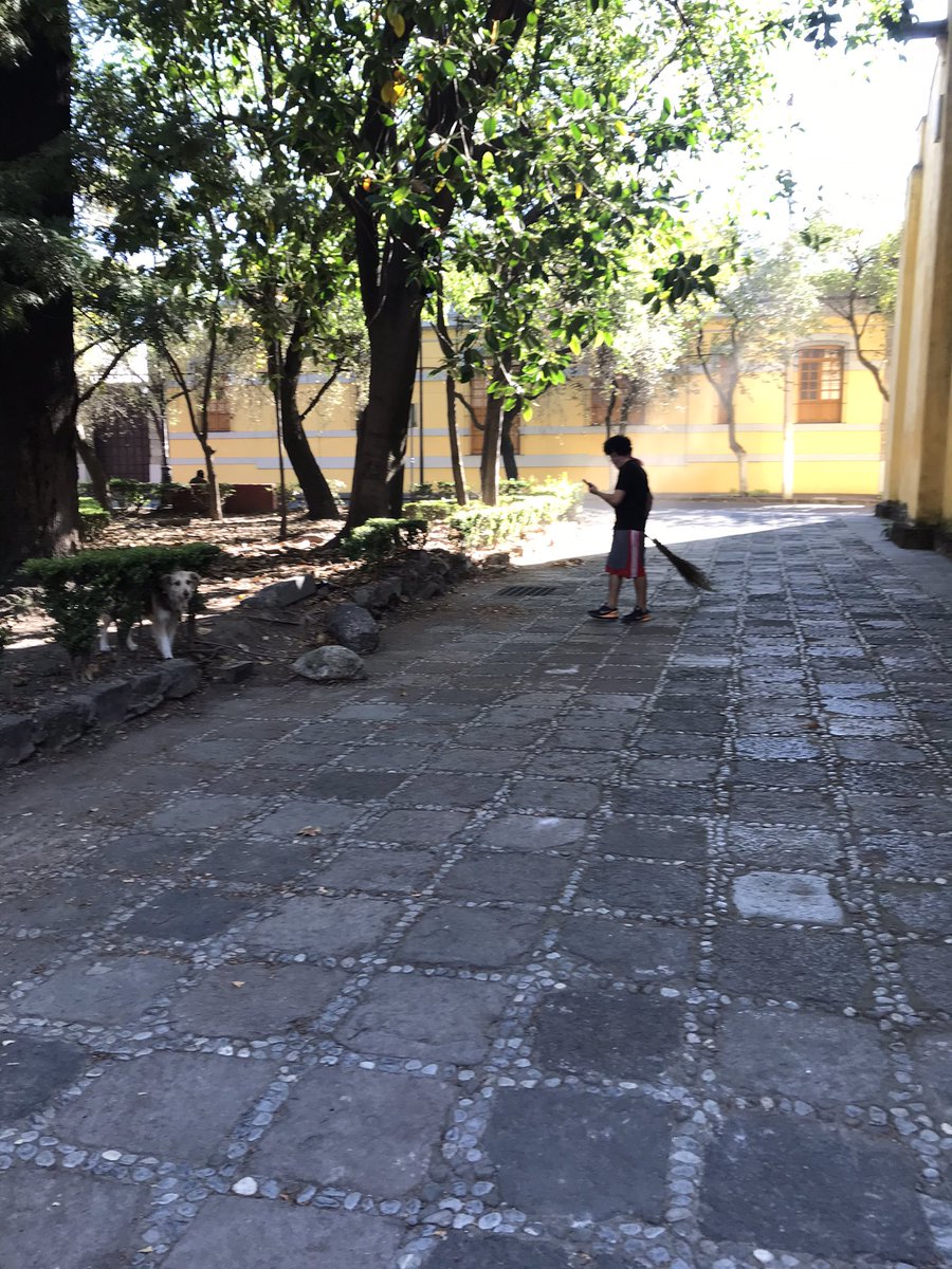 margara2012's tweet photo. @Alcaldia_Coy Vecinos de @Barrio_SanLucas y de #LaConchita hicimos limpieza en el atrio y parque de la #Concepcion ¿Cuándo hará su trabajo el alcalde #ManuelNegrete? https://t.co/QM8Ukw9nyx