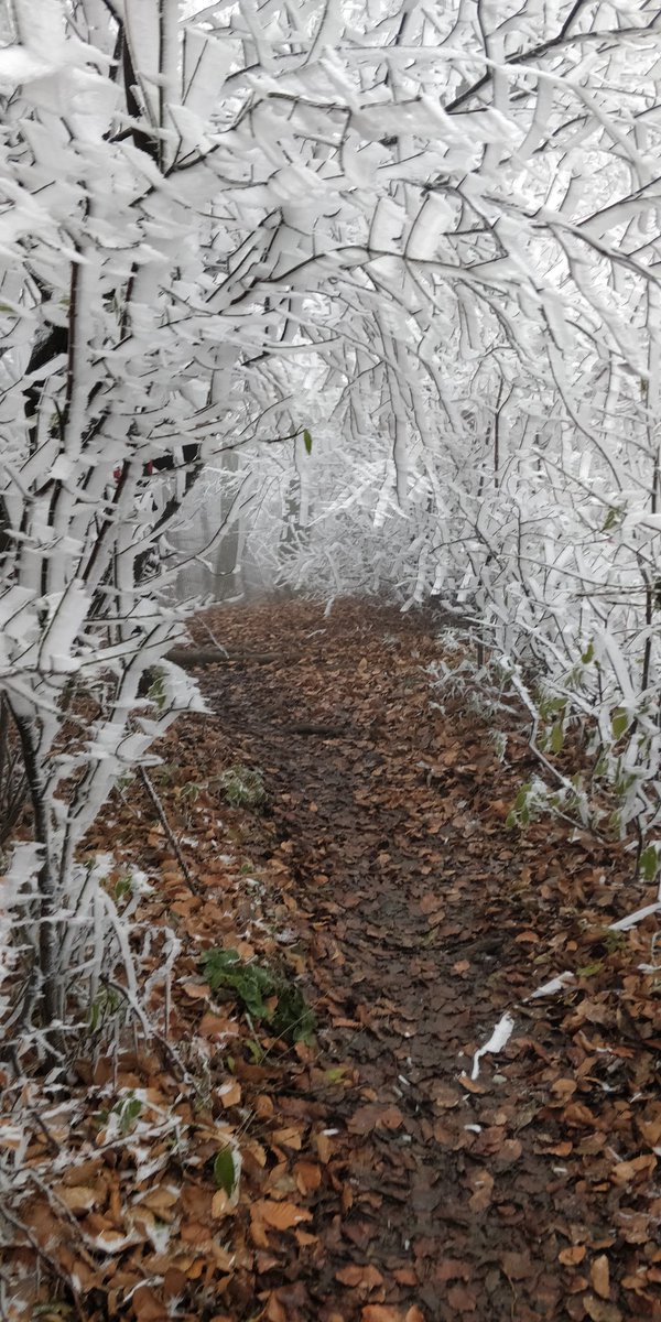 MNedjelik's tweet photo. 2. Lockdown-Woche mit 3 Kindern zu Hause gut überstanden - jeder erholt sich anders...
...in meinem Fall ist der weekly long-run die beste Erholung!
Der Winter ist zwar nicht gerade meine Lieblings-Jahreszeit, doch er zaubert tolle Landschaftsbilder. ❄️ https://t.co/NeE3PnHRE7