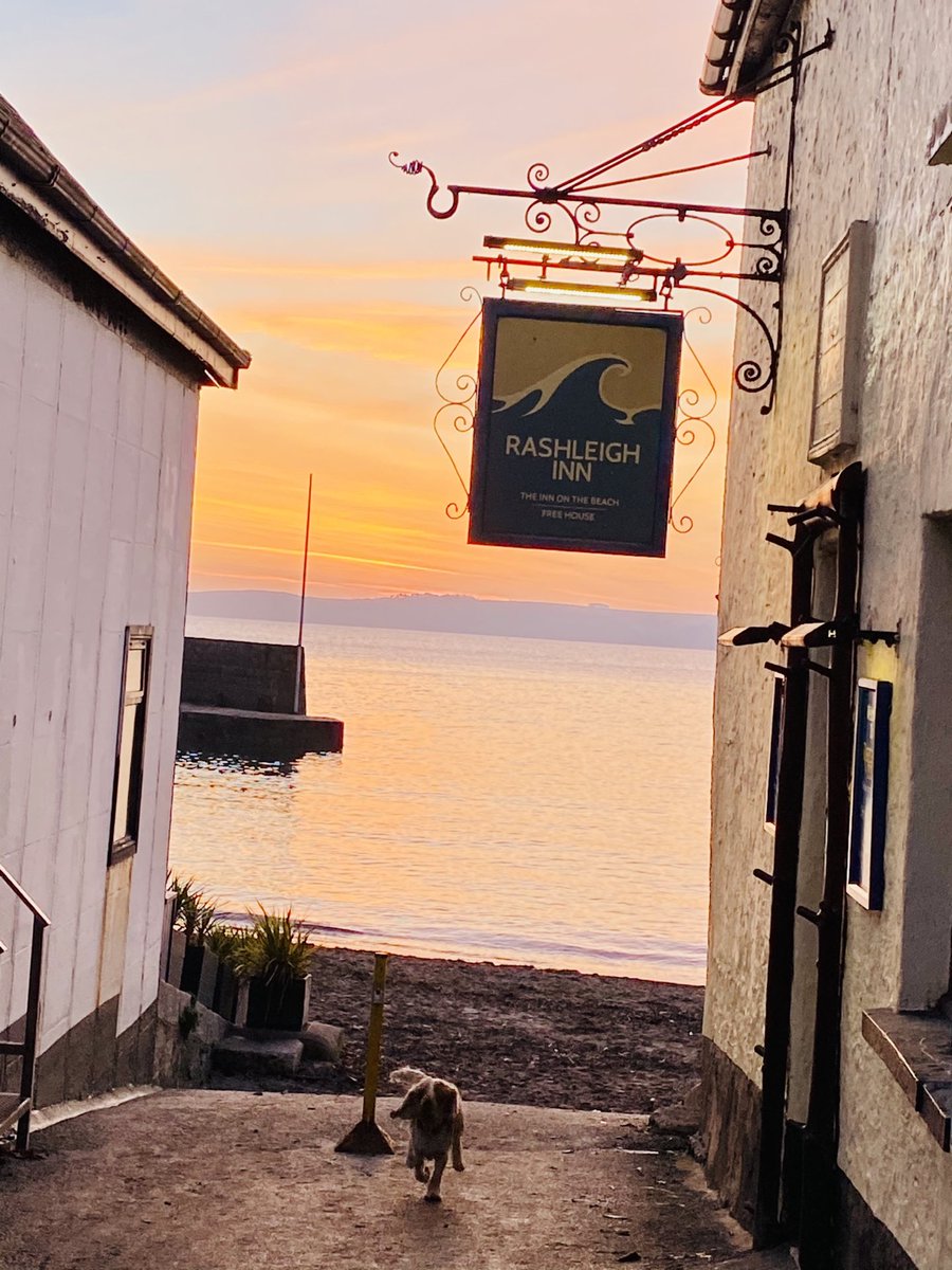 MarlowSutcliffe's tweet photo. Nice early evening walk #polkerris #therashleighinn https://t.co/ZIu2o2pky5