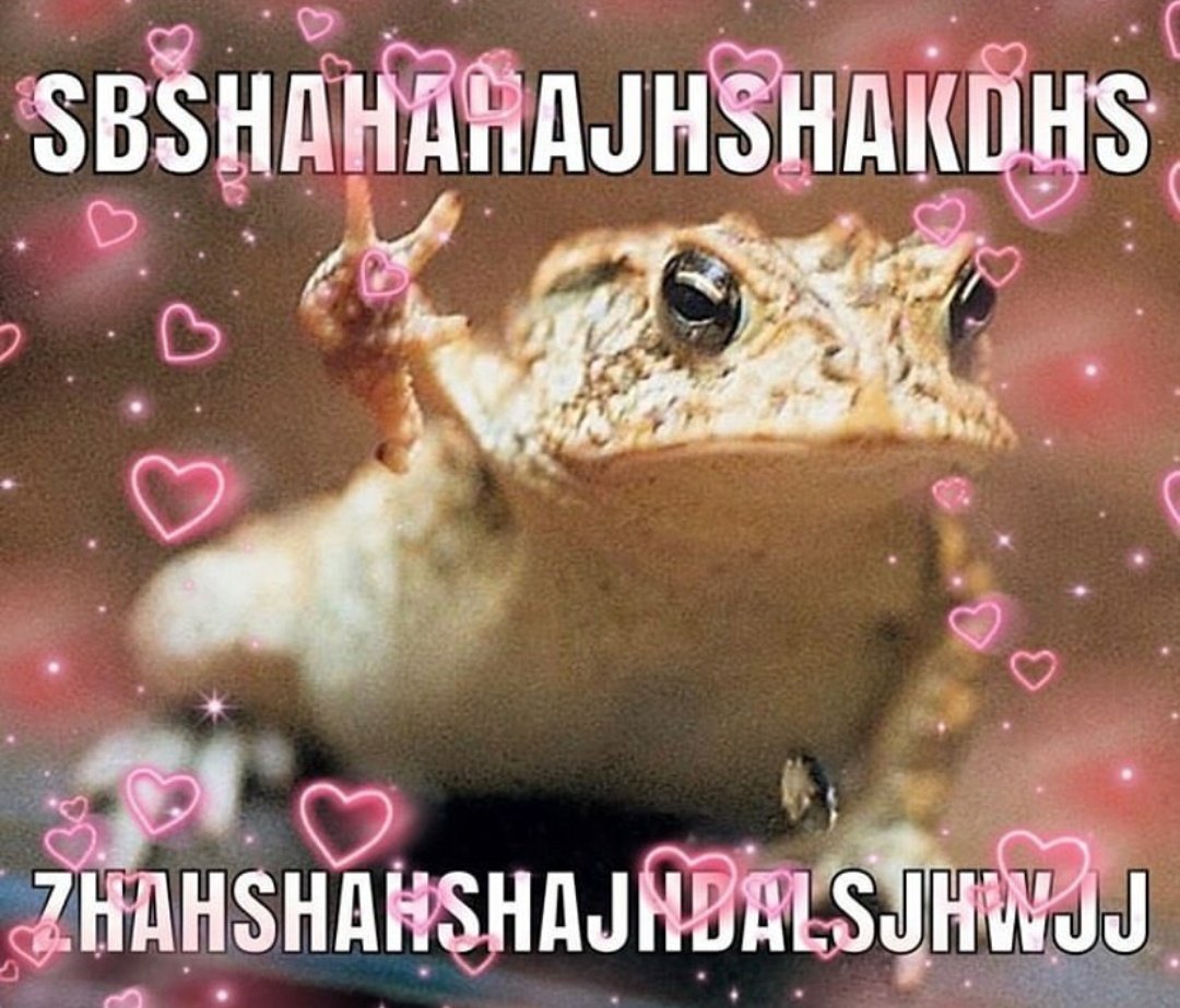 FrogsDaily3's tweet photo. Frog 67 and 68 cause i forgot again https://t.co/vHdMyeZ5U1