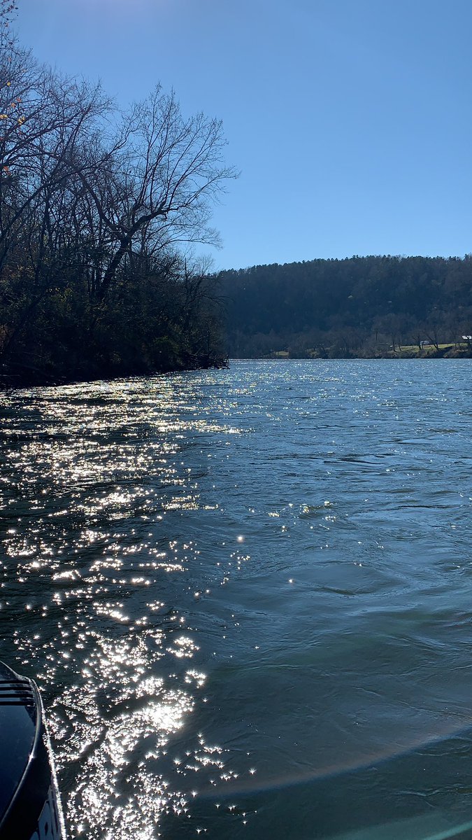 MrsMarkRoberts's tweet photo. Lovely day on the White. #trout #browntrout #whiteriver #fish #fishing #fisharkansas #norfork #arkansas https://t.co/BdDKtc59jU