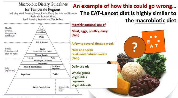 The diet is very similar to the macrobiotic diet.