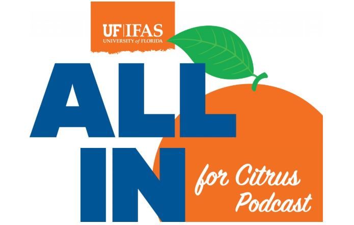 PolkBizBeat's tweet photo. Listen to new Nov All in for Citrus Podcast, https://t.co/ZJbOcp5k3i. Includes greening-tolerant varieties involving finger limes, enhancing systemic root health &amp; investigating therapeutics &amp; microbial products. https://t.co/fBgrFKaEDb
