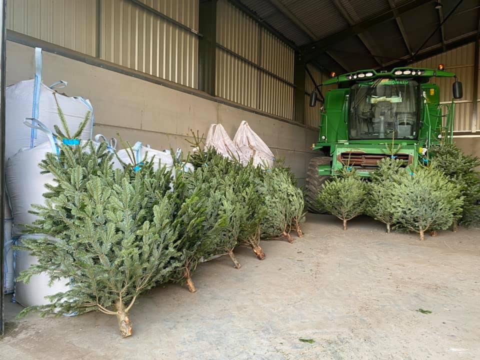 grangefarmshop2's tweet photo. 🎄 Xmas trees 5ft-10ft available 📍 IP138BT https://t.co/lu0p1Hir3B