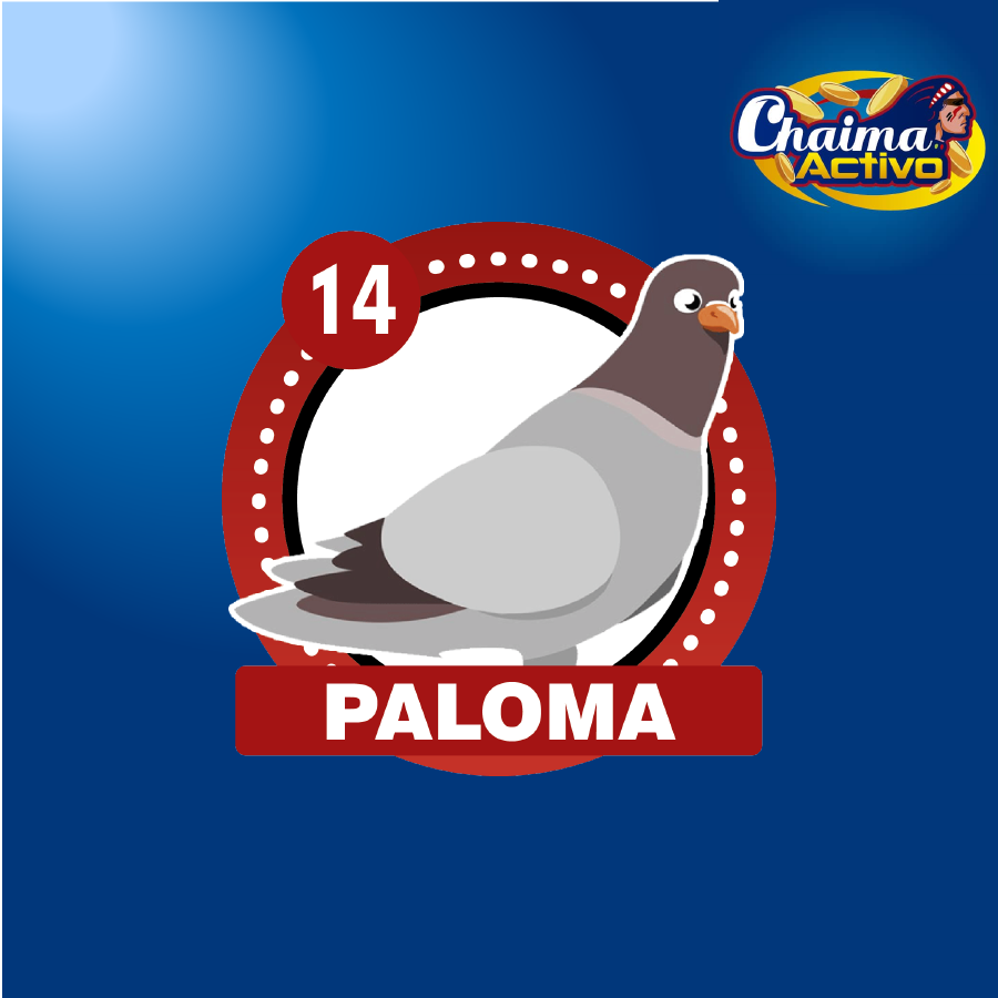 chaimaactivo's tweet image. Chaima Activo
28/11/2020
01:00 PM
14 -PALOMA
#28Nov #PagamosmasChaima Activo