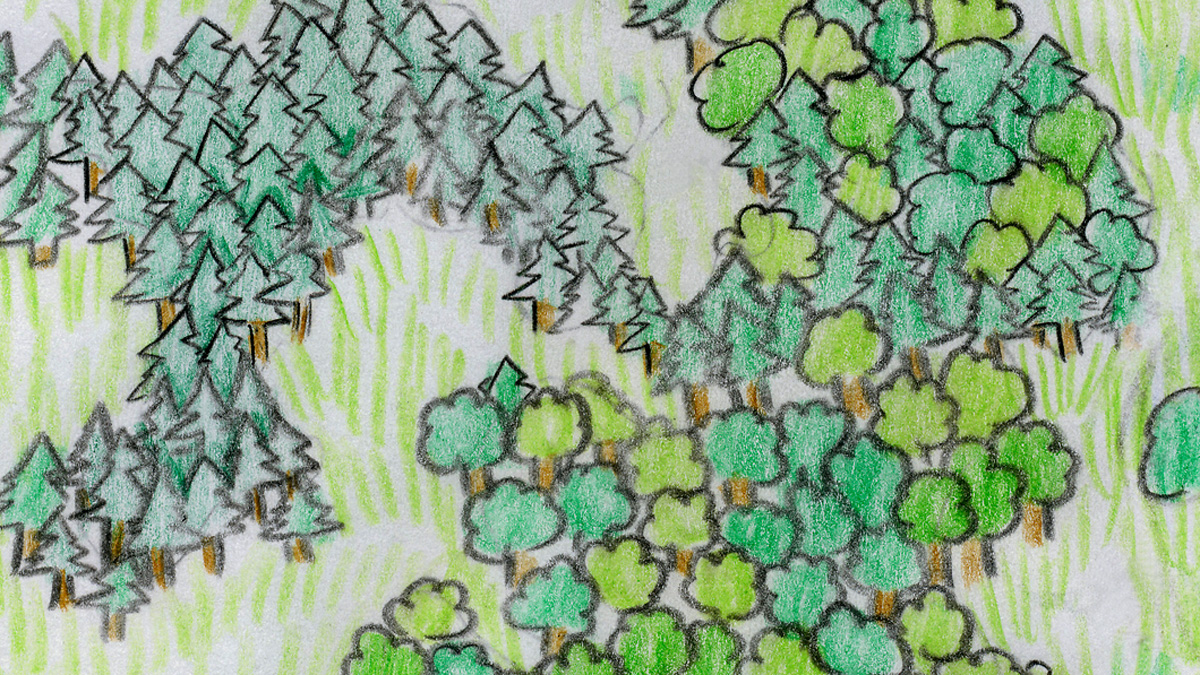 jesslohm's tweet photo. She also warned Lily not to be in the forest when it was dark.  Simple rules that Lily had never broken. Until tonight. 

#LilyBowers #Chap1 #wildboar #forestfix #savetheforests #savethetrees #kidlit #ecolit #ecofantasy #BookLovers #raiseareader #raisingreaders #consciouskids https://t.co/YYwwja90Kn