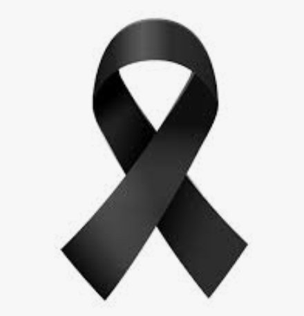 Fed. Nav. Béisbol y Sófbol tweet media