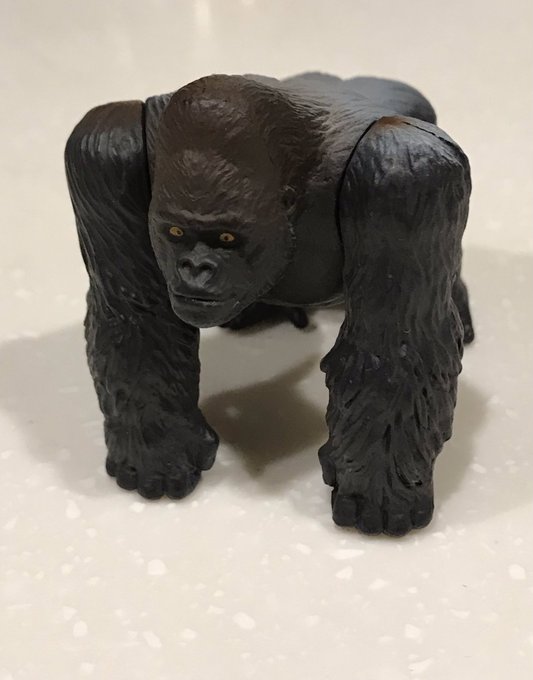タカラトミー「アニア」シリーズのゴリラと、ガチャガチャのフチ子的なゴリラ。生まれも用途も違う、決して交わるはずのない二頭の、奇跡のフィット感。父ちゃんの背中…大きい! 