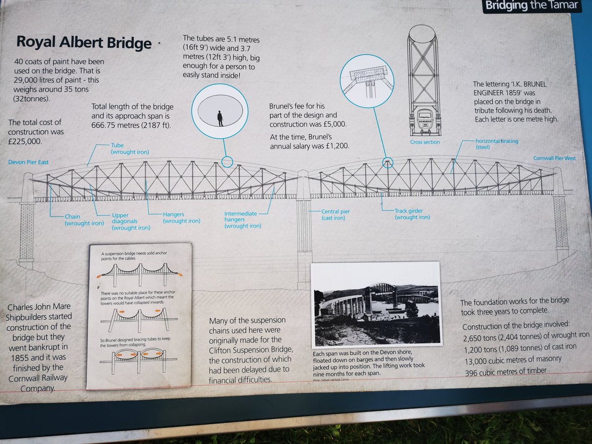 Carly Hobbs tweet media