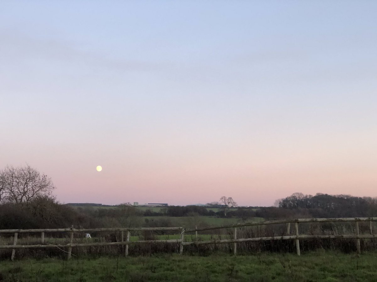 SiriusStar1963's tweet photo. Saturday at the stables.#Smallbrook #Ryde #horse #moon #trees #sunset #PureIslandHappiness #IOW #home π https://t.co/iYWzNUwKlj