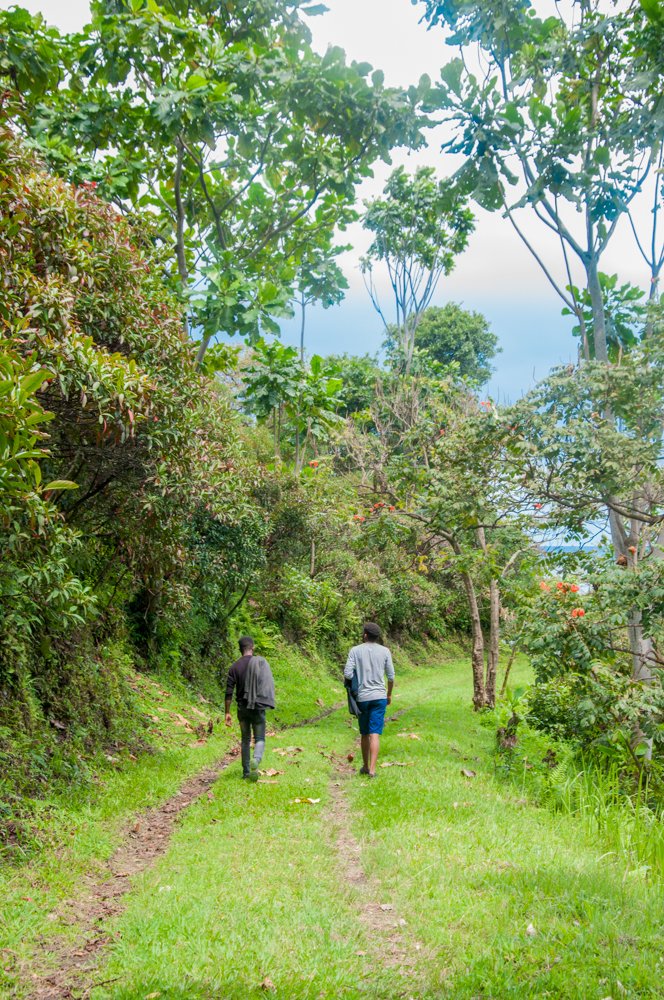 LubulaPat's tweet photo. africa is the heart of the world, if u like the nature visit africa, kivu lake #tourism #Africa #DRC #kivulake #kiata https://t.co/FGkijWz3Ed