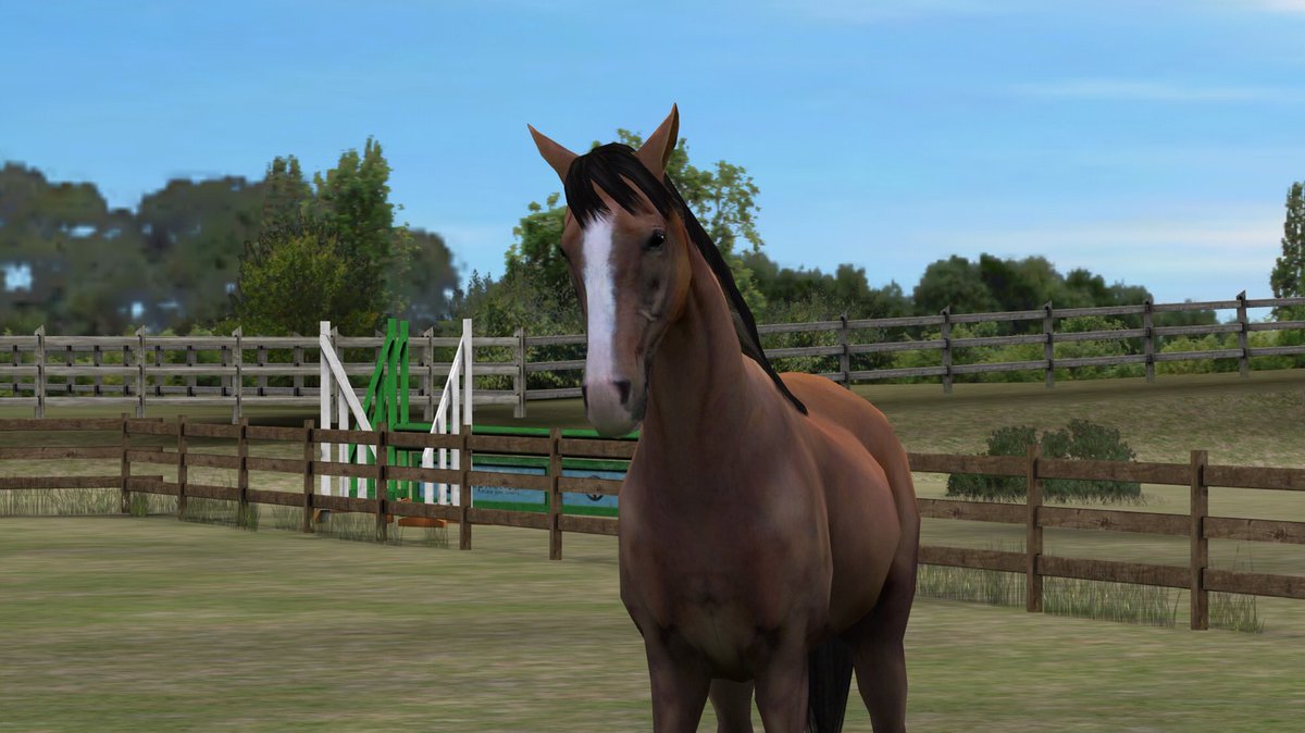 florhofer's tweet photo. Mira mi foto! Add me, ShinyOzone960. #MyHorse 😜🥳🥳🥳🥳 https://t.co/FAyV4lJE4N https://t.co/lJC2TaCsBC