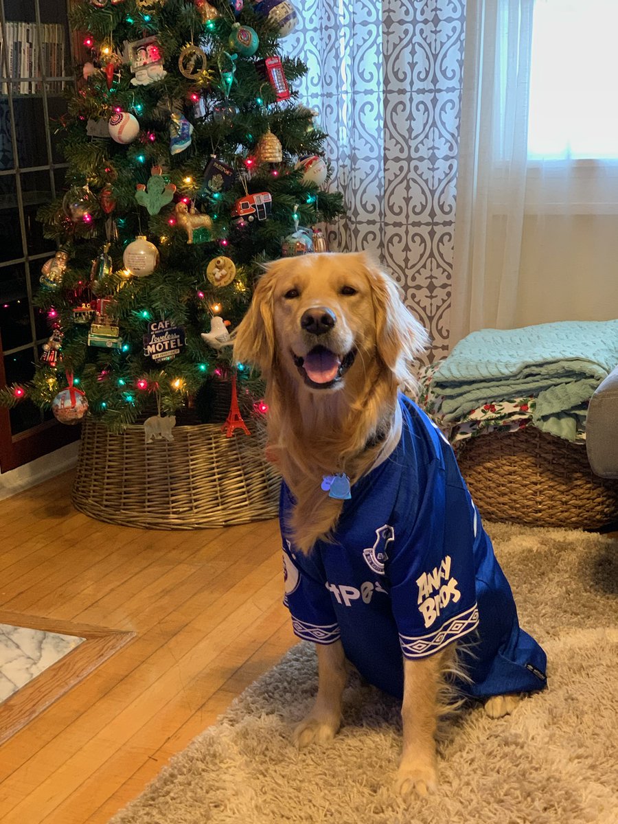 Everton's furiest fan ready to go this morning. #UTFT #MyPLThanksgiving #MyPLMornings <a href="/NBCSportsSoccer/">NBC Sports Soccer</a> <a href="/EvertonUSA/">Everton USA - #AllTogetherNow</a> <a href="/thehighbury/">Highbury Bookkeepers</a> <a href="/Everton/">Everton</a>