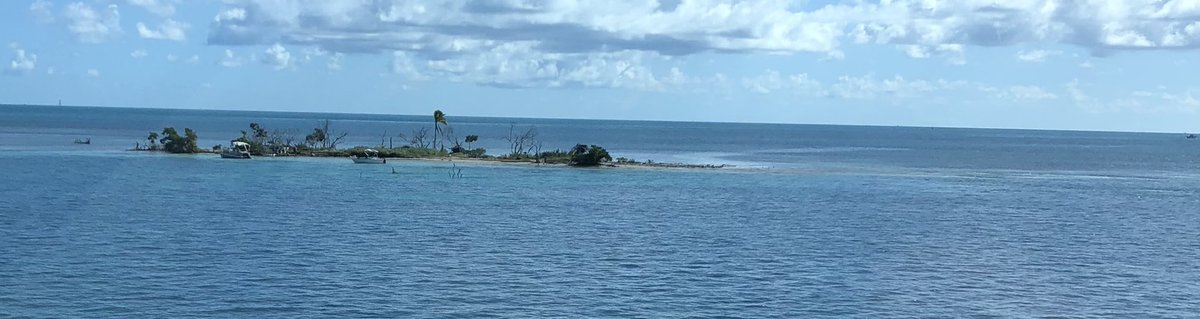 IsSharonHomeYet's tweet photo. Found a little island to inhabit! #changesinattitude #changesinlatitude https://t.co/lxCj7x7lCc