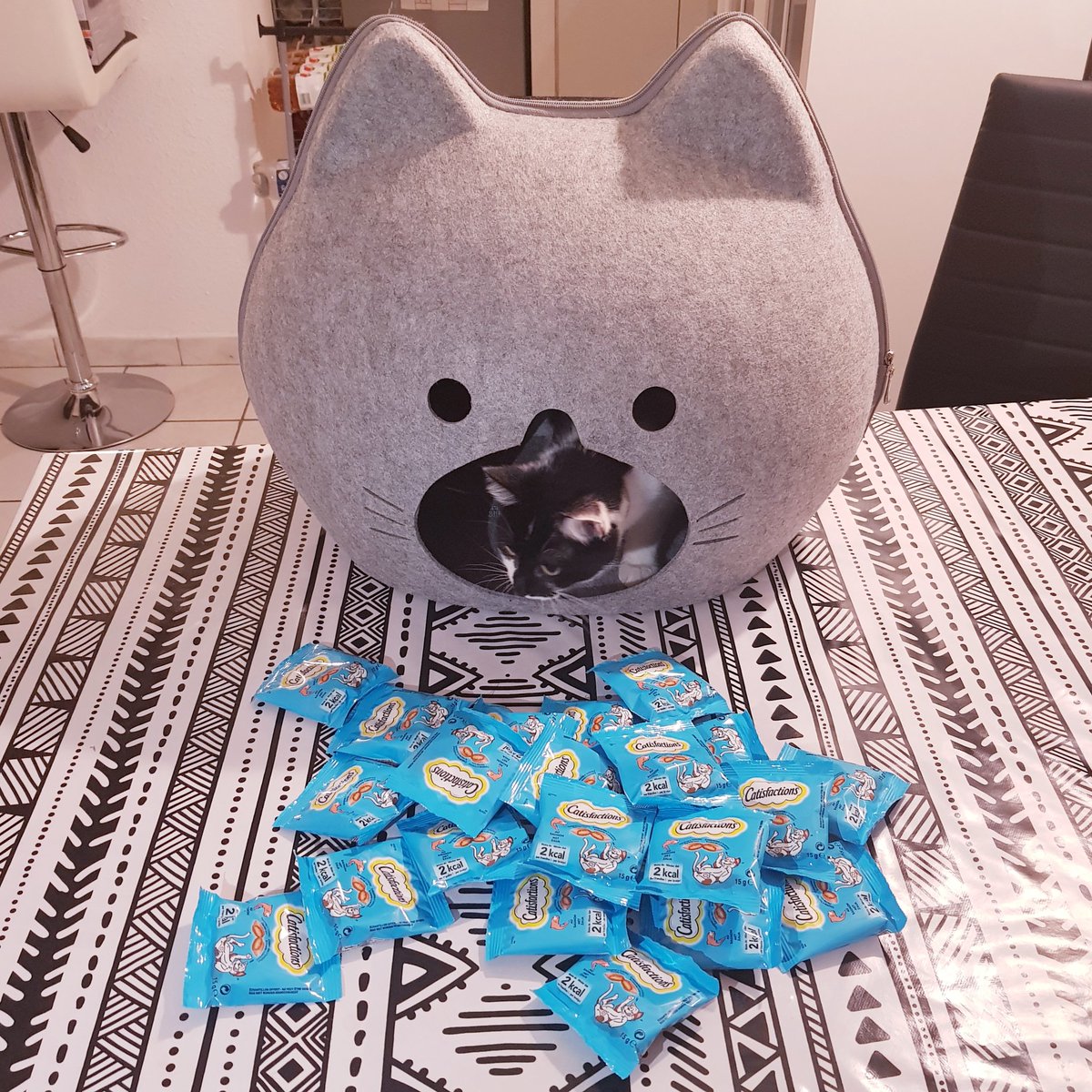 ConcoursTwt's tweet photo. Salut, ma petite Sakura a été sélectionnée pour découvrir les friandises pour chats CATISFACTIONS au saumon.
Venez découvrir leur présentation sur mon Instagram
https://t.co/SYeTGD0XWd
Merci CATISFACTIONS et @TheInsidersFr pour ce test 😉
#InsidersCatisfactions #Catisfactions https://t.co/dvKMOD039v